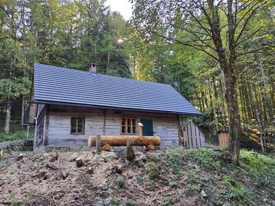 Haus mieten in 4462 Reichraming