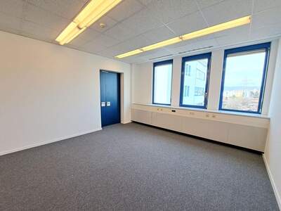 Gewerbeobjekt mieten in 2351 Wiener Neudorf (Bild 5)