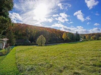 Grundstück kaufen in 3021 Pressbaum (Bild 3)