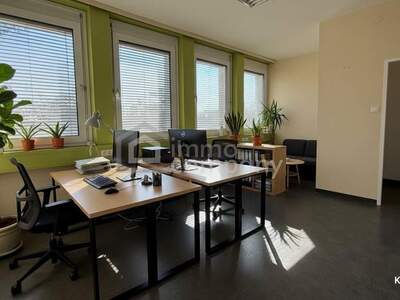 Gewerbeobjekt mieten in 2752 Wöllersdorf