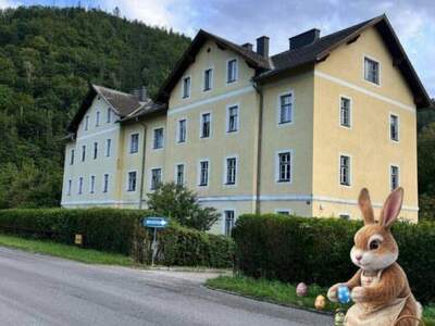 Wohnung kaufen in 2640 Gloggnitz