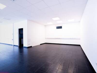Gewerbeobjekt kaufen in 4780 Schärding (Bild 4)