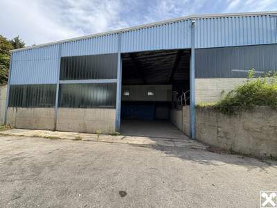 Gewerbeobjekt mieten in 7012 Zagersdorf (Bild 5)