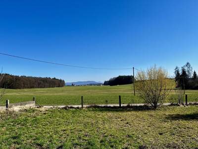 Grundstück kaufen in 5110 Oberndorf (Bild 2)
