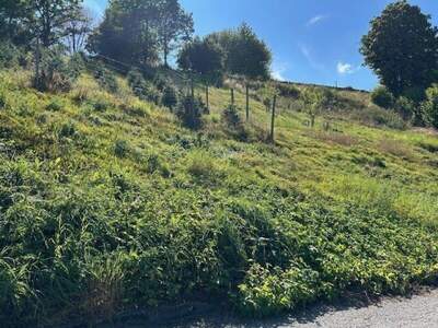 Grundstück kaufen in 3970 Weitra (Bild 2)