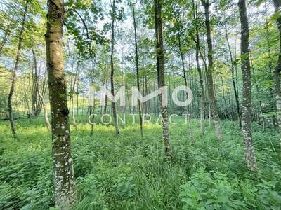 Gewerbeobjekt kaufen in 3321 Ardagger