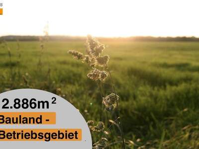 Grundstück kaufen in 2473 Potzneusiedl