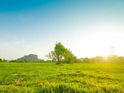 Grundstück kaufen in 6923 Lauterach