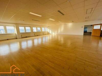 Gewerbeobjekt mieten in 2351 Wiener Neudorf (Bild 4)