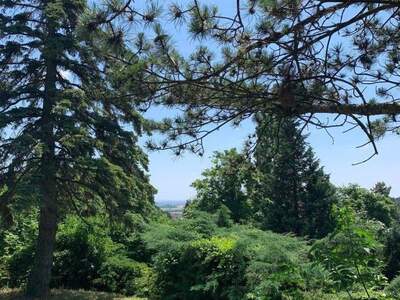 Grundstück kaufen in 2102 Hagenbrunn