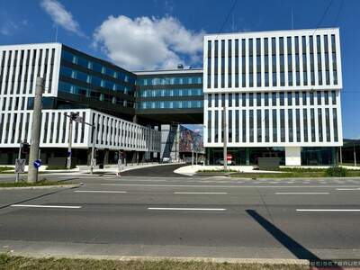 Gewerbeobjekt mieten in 4020 Linz (Bild 1)