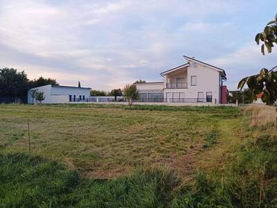 Grundstück kaufen in 7141 Podersdorf (Bild 4)