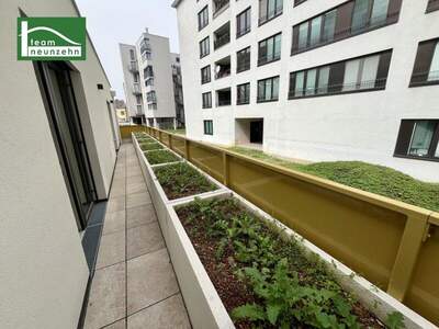 Terrassenwohnung kaufen in 1220 Wien (Bild 4)