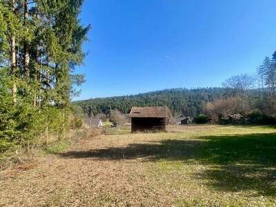 Grundstück kaufen in 2822 Walpersbach