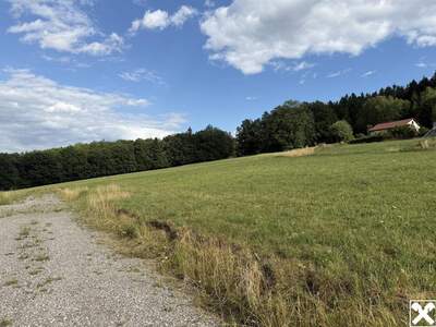 Grundstück kaufen in 2640 Prigglitz (Bild 2)