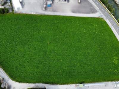 Grundstück kaufen in 8943 Aigen