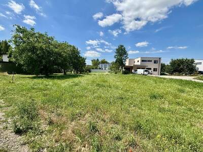 Grundstück kaufen in 7100 Neusiedl