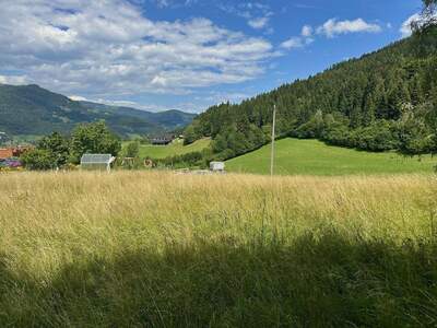 Grundstück kaufen in 9543 Hinterbuchholz