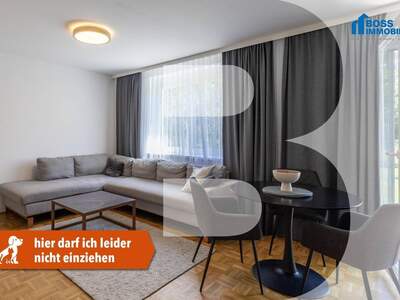 Wohnung mieten in 4600 Wels