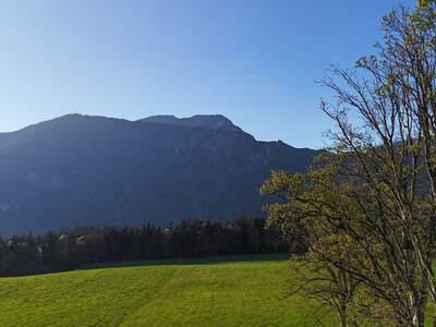 Grundstück kaufen in 6252 Breitenbach (Bild 5)
