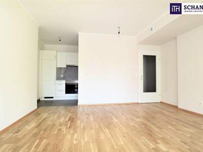 Terrassenwohnung mieten in 2320 Schwechat (Bild 3)