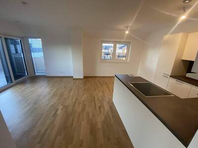 Wohnung mieten in 2102 Bisamberg