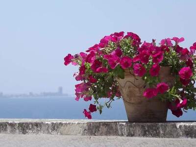 Wohnung kaufen in 73013 Lido Conchiglie (Bild 2)