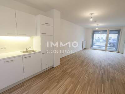 Apartment provisionsfrei mieten in 1100 Wien