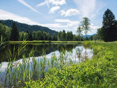 Eigentumswohnung in 9313 St. Georgen