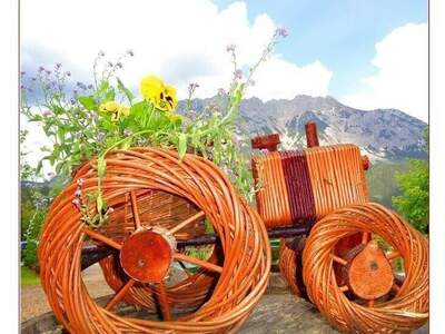 Haus kaufen in 8962 Gröbming