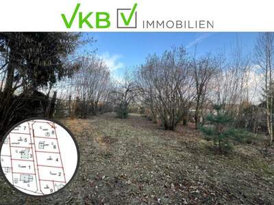 Grundstück kaufen in 4211 Spattendorf