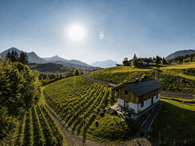 Haus provisionsfrei mieten in 6391 Fieberbrunn
