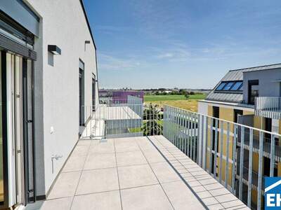 Terrassenwohnung kaufen in 1220 Wien (Bild 1)