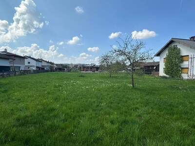 Grundstück kaufen in 5231 Schalchen (Bild 2)