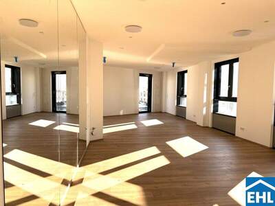 Terrassenwohnung mieten in 4020 Linz (Bild 2)