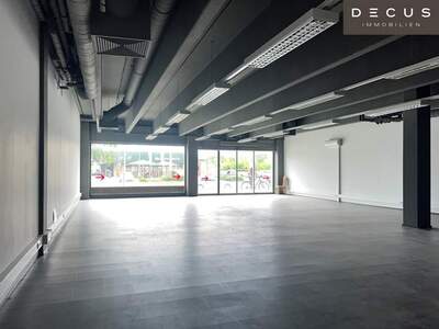Gewerbeobjekt mieten in 2700 Wiener Neustadt