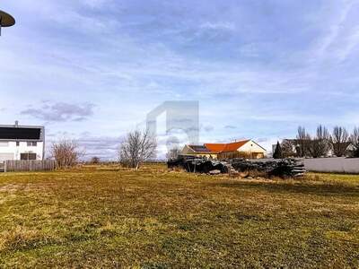 Grundstück kaufen in 7123 Mönchhof