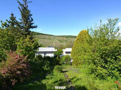 Haus kaufen in 1190 Wien