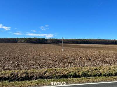 Gewerbeobjekt kaufen in 7400 Oberwart