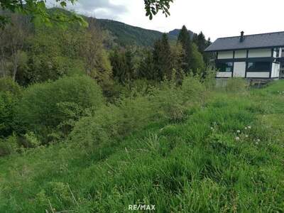 Grundstück kaufen in 8685 Steinhaus