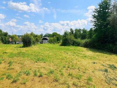 Grundstück kaufen in 4675 Weibern