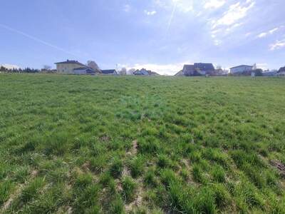 Grundstück kaufen in 4851 Gampern