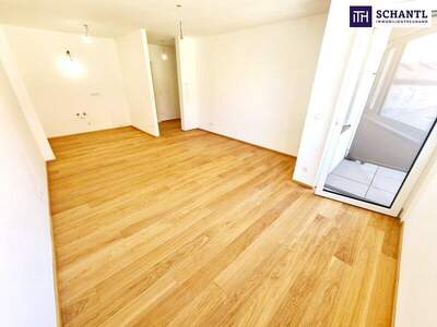 Terrassenwohnung kaufen in 1230 Wien (Bild 1)