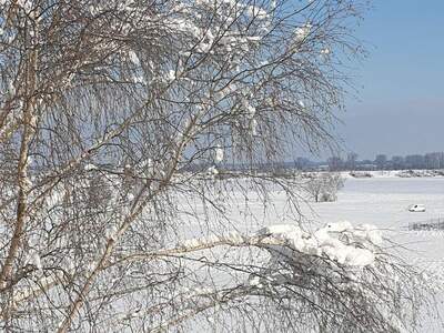 Wohnung kaufen in 3441 Judenau (Bild 4)