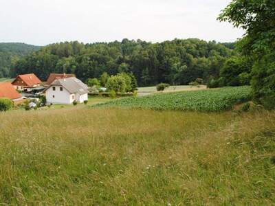 Grundstück kaufen in 8081 Edelstauden (Bild 1)