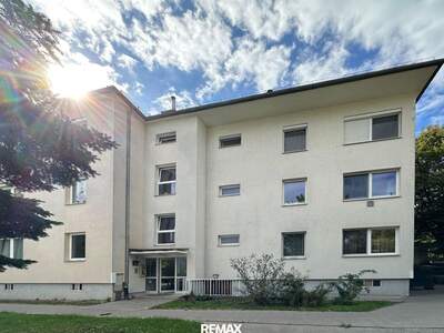 Apartment provisionsfrei mieten in 2340 Niederösterreich