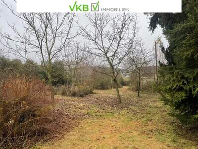 Grundstück kaufen in 4211 Alberndorf