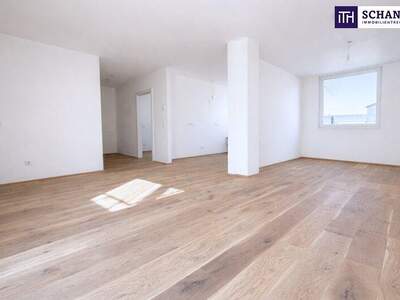 Terrassenwohnung kaufen in 2514 Traiskirchen (Bild 2)