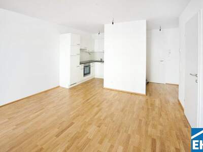 Terrassenwohnung mieten in 1090 Wien (Bild 1)