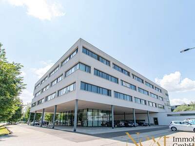 Gewerbeobjekt mieten in 4600 Wels (Bild 2)